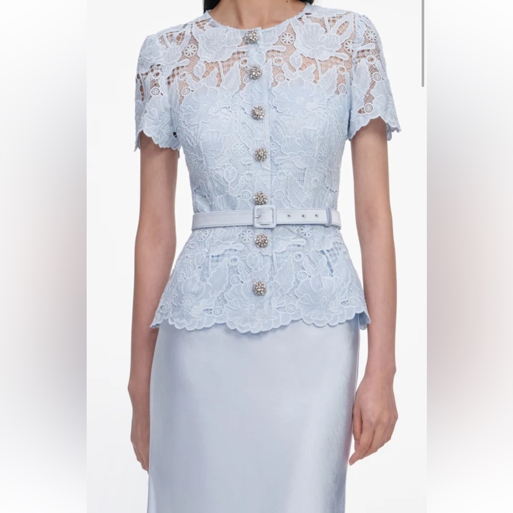 Self Portrait Elegant Light Blue Lace Peplum and Satin Skirt Evening Gown - Picture 3 of 5